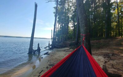 hammock by the water